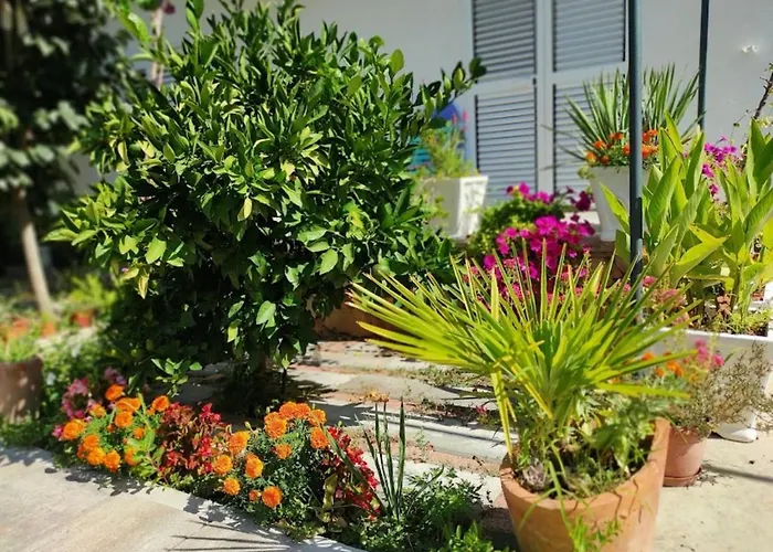 Jacuzzi Apartman Vodice